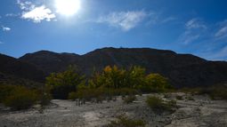 Tiempo recorre Calingasta: sabores, historia y naturaleza se combinan para un cóctel perfecto en Semana Santa