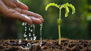 Sequía en San Juan: las alternativas para un riego eficiente y sin derroche