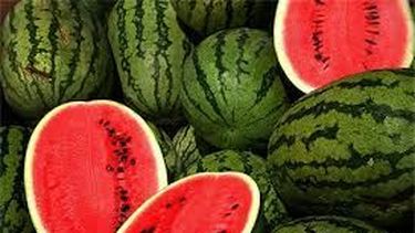 Sarmiento prepara su cronograma de fiestas populares