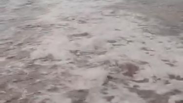 Precaución conductores: crecida del Río Marayes en la Ruta N 141