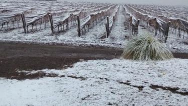 Temen que se dé otra sequía histórica este año en San Juan
