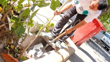Mirá cómo funcionarán los servicios en Capital por el finde largo