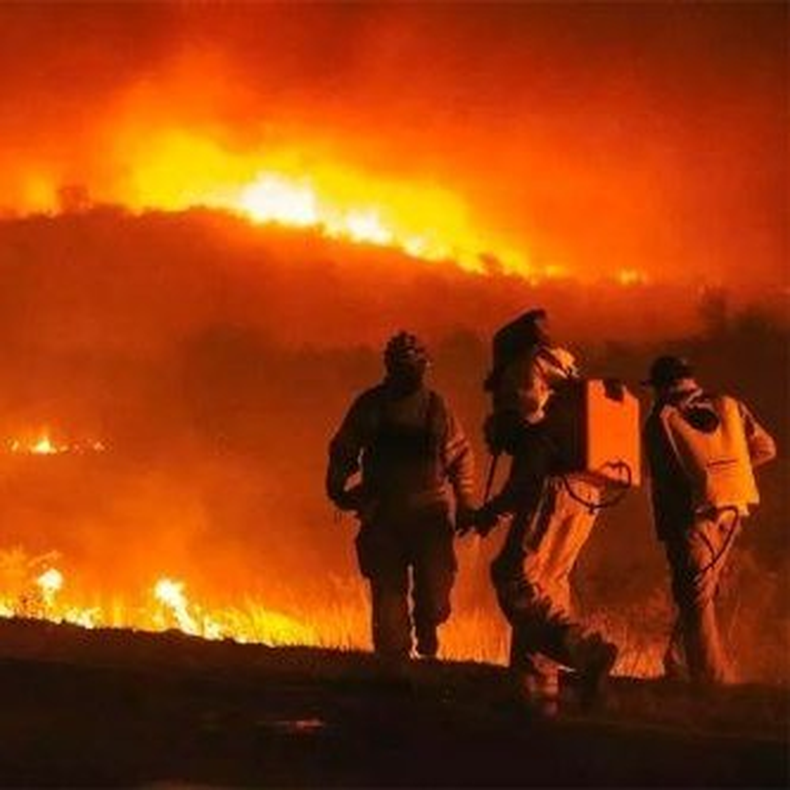 Hay más de 16 mil hectáreas que fueron arrasadas por el fuego en Córdoba: qué hizo el Gobierno
