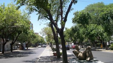 Recordá la nota de Tiempo de San Juan sobre el proyecto de riego¿Dejarán de existir las acequias?