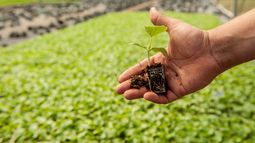 Lo que tenés que saber para vivir a full el INTA EXPONE