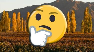 Campera o manga corta: ¿cómo estará el tiempo en el arranque de la semana laboral?