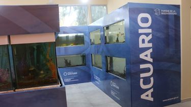 Nueva atracción en San Juan: se viene un súper acuario provincial, cómo y dónde será