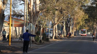 Evalúan recorridos más largos para líneas de colectivos