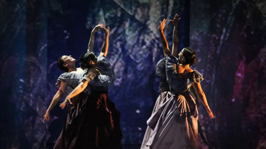 El Bicentenario palpitó el 25 de Mayo con la última noche de la Gala Patria