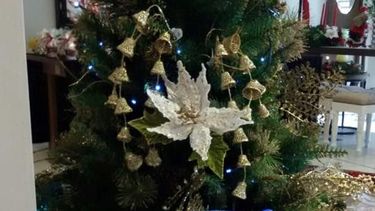 Sugerencia de hoy: Paradise Deco