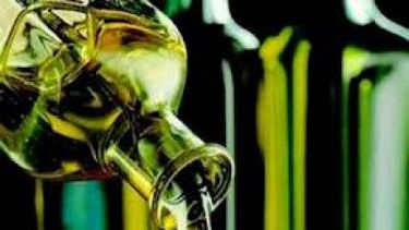 Argoliva: Más de 100 muestras participan del concurso de aceites