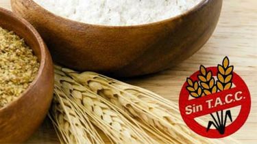 ¿Sos afiliado de la OSP? Enterate cómo obtener tu módulo celíaco mensual