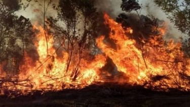 San Juan enviará asistencia a Corrientes para combatir los incendios forestales