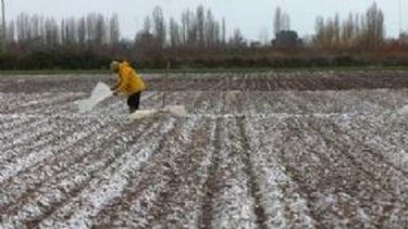 Frente frío: No descartan heladas tardías