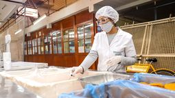 Operativo Pescado: Capital controlará pescaderías y supermercados