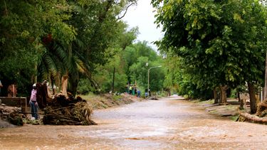 ¿Cuántos sanjuaninos debieron ser evacuados por las lluvias?