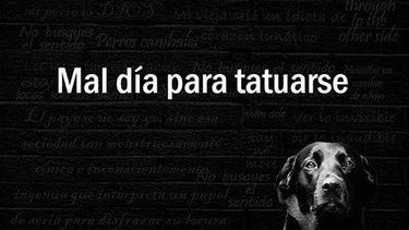 No podía faltar la réplica del terremoto de memes