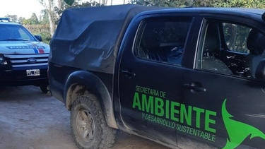 Ambiente desarrolla distintos operativos para tratar determinar qué sucede en Pocito con el supuesto puma que anda suelto. Imagen de archivo.