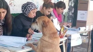 Una ternura: fue a votar y no aparecía en el padrón