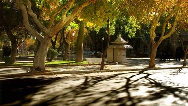 Disfrutá de un domingo con algunas nubes y máxima de 26º