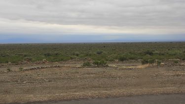 Caballo Anca: la nueva tierra prometida