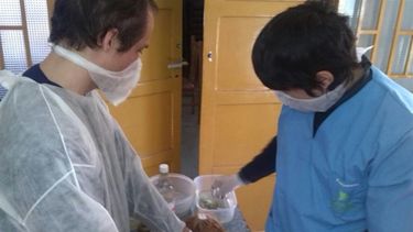 Esterilización de Mascotas: el quirófano pasará por Rawson y Rivadavia