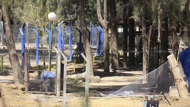 El Faunístico ya sin animales peligrosos