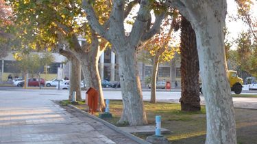 Lunes con máxima de 24º y para el miércoles, 35º