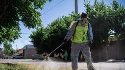 Realizan un exhaustivo control de plagas en Rivadavia