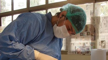 Vacunación antirrábica y desparacitación de mascotas