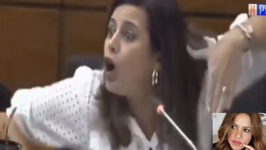 ¿Creíste que habías visto todo? Te faltaba la diputada Shakira