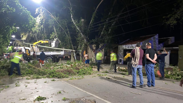 Rivadavia llevó adelante un operativo para levantar más de 20 árboles caídos por el viento