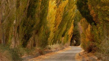 Ya hay fecha para la habilitación del turismo local