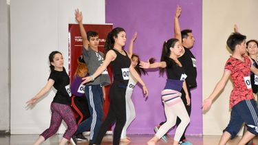 ¡Atención artista! empiezan el casting para la FNS2019