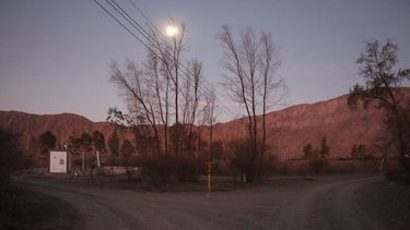 A un mes del desastre, el Parque Sarmiento vuelve a la vida con los primeros rebrotes