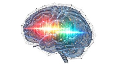 Así funciona el cerebro digital del MIT que aprende, se equivoca y podría transformar la investigación neurológica