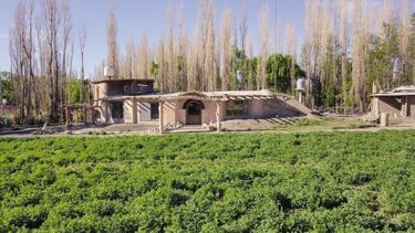 Se viene la segunda edición de Tree Hugger Fest 2022, un encuentro ideal para los amantes de la naturaleza