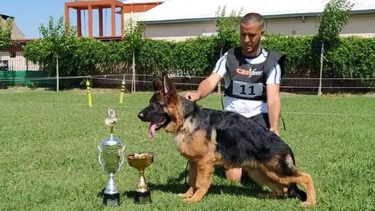 Les robaron a su perro campeón cuyano y ahora los quieren extorsionar