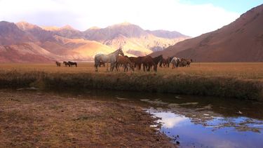La más maravillosas postales del Cruce de Los Andes