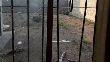 La increíble respuesta de un hombre al que le robaron mientras visitaba San Juan