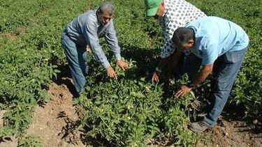 Convocan a productores para actualizar el registro único