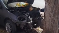 un conductor se quedo dormido al volante, perdio el control y estrello su auto contra un arbol en caucete un conductor se quedo dormido al volante, perdio el control y estrello su auto contra un arbol en caucete