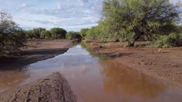 Después de un año y medio, hay agua en Guanacache gracias a la lluvia