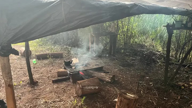 Rescataron a cuatro argentinos que trabajaban en condiciones de esclavitud en el sur de Brasil