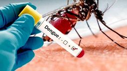 Llegará la vacuna contra el dengue para la venta comercial a San Juan y la dosis costará cerca de $105 mil