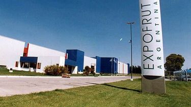 Expofrut: Tras el acuerdo, reincorporaron a 100 empleados