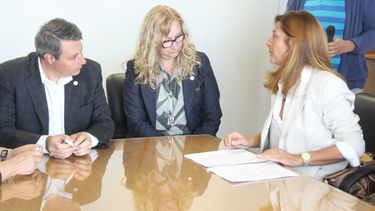 Un proyecto para estudiar aspectos desconocidos de guanacos