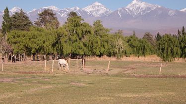 Tierras en manos extranjeras: Calingasta, al límite de lo permitido