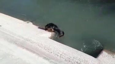 Ciclistas protagonizaron un emotivo rescate en San Martín