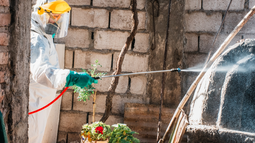 Personal de la Municipalidad de Rawson está fumigando distintas zonas del departamento para prevenir focos de dengue.